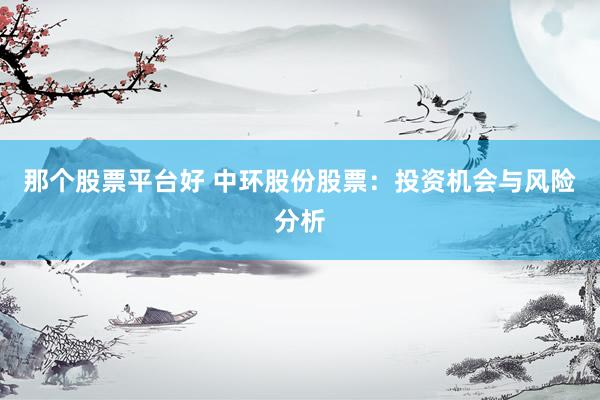 那个股票平台好 中环股份股票：投资机会与风险分析