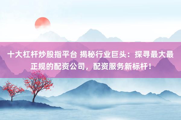 十大杠杆炒股指平台 揭秘行业巨头：探寻最大最正规的配资公司，配资服务新标杆！