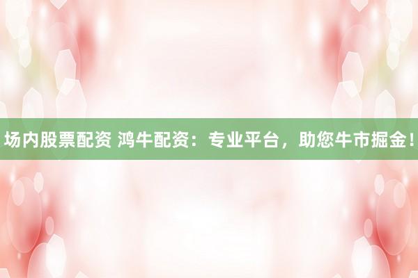场内股票配资 鸿牛配资：专业平台，助您牛市掘金！