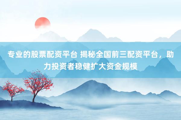 专业的股票配资平台 揭秘全国前三配资平台，助力投资者稳健扩大资金规模