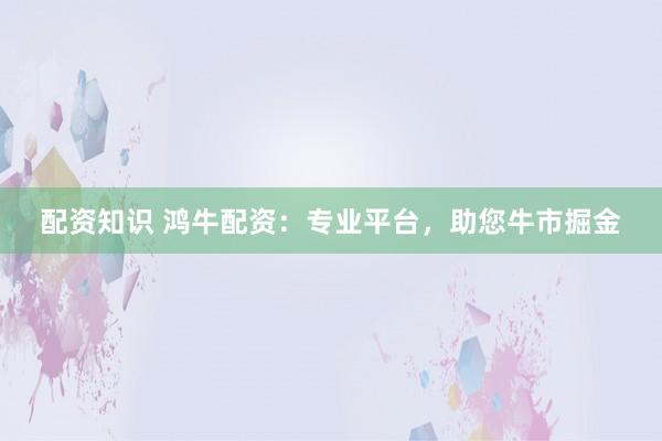配资知识 鸿牛配资：专业平台，助您牛市掘金