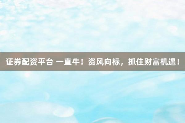 证券配资平台 一直牛！资风向标，抓住财富机遇！