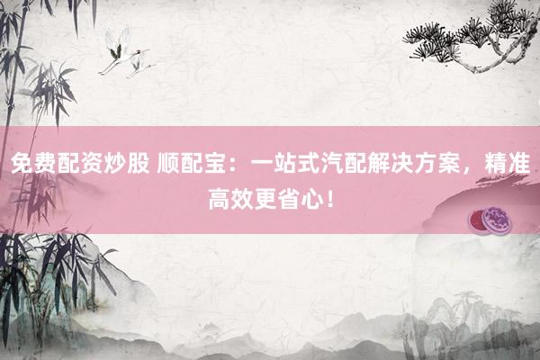 免费配资炒股 顺配宝：一站式汽配解决方案，精准高效更省心！