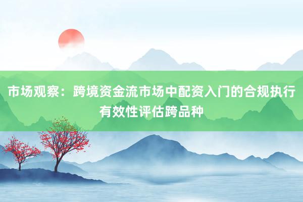 市场观察：跨境资金流市场中配资入门的合规执行有效性评估跨品种