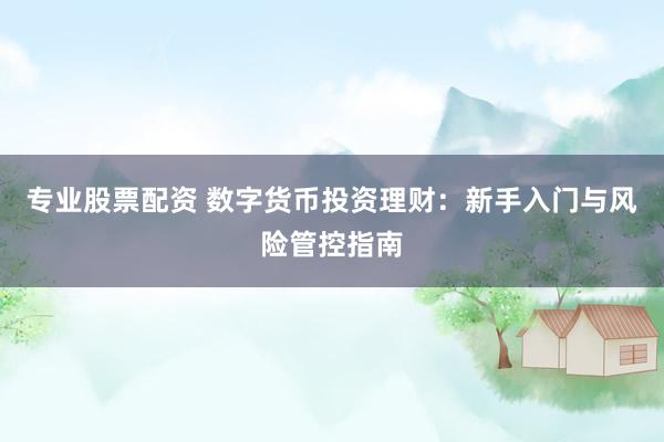 专业股票配资 数字货币投资理财：新手入门与风险管控指南